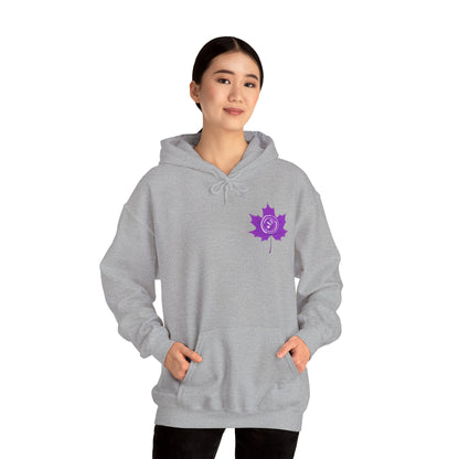 💜 Freedom Blooms in Purple – Domestic Violence Awareness Hoodie