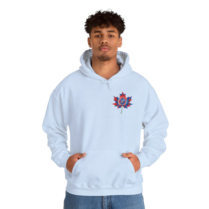 IB Leaf “Not All Scars Are Seen” Hoodie – Wear the Message That Matters